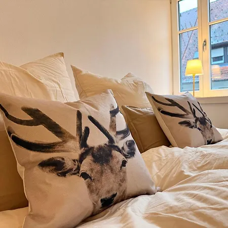 Direkt Am Marktplatz - Und Schwarzwald Erleben Apartamento