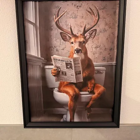 Direkt Am Marktplatz - Und Schwarzwald Erleben Апартаменты Фройденштадт